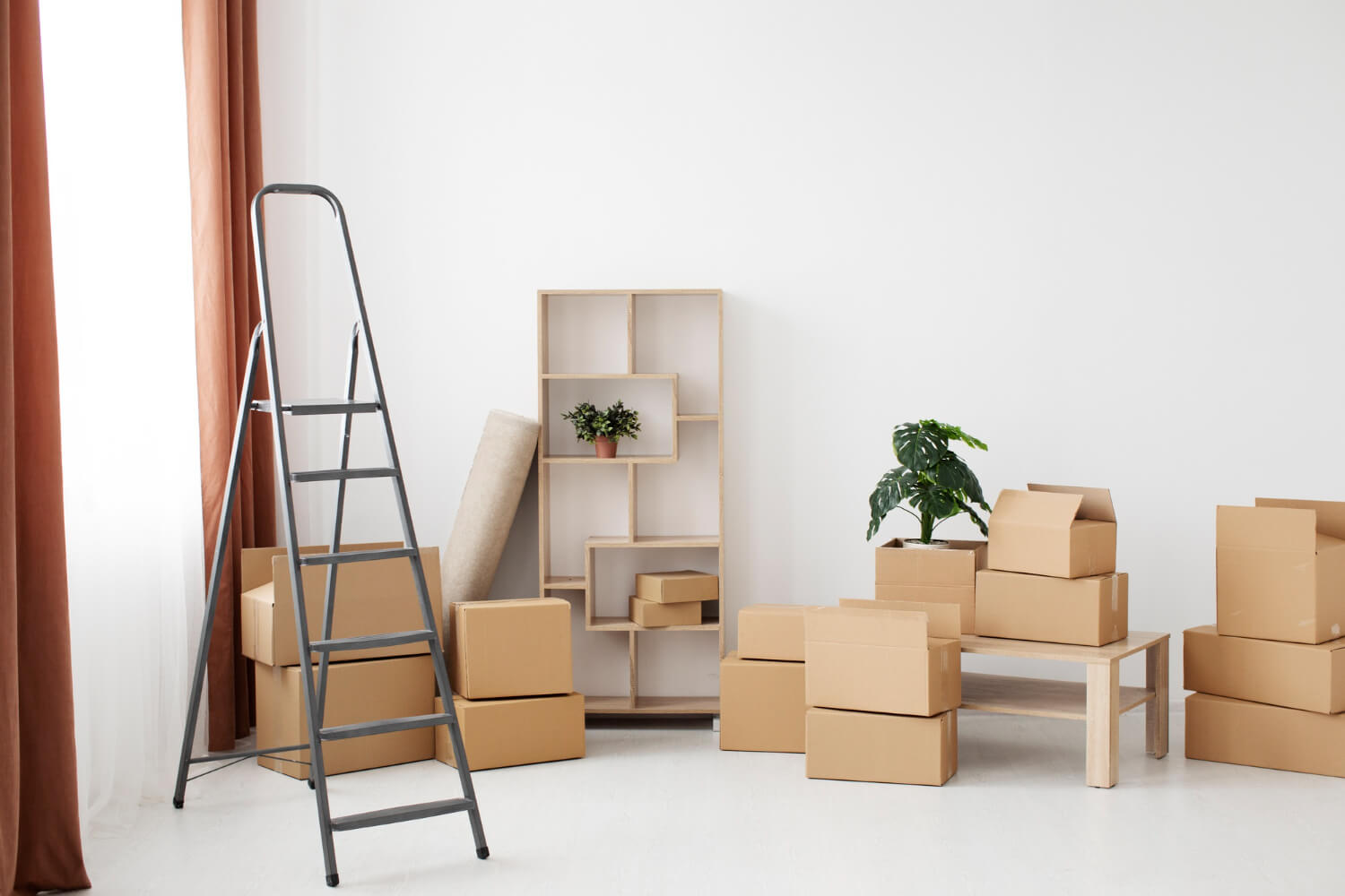 Move In / Out